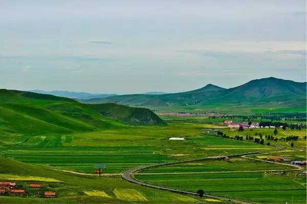 🥩视频 🥩视频主要分为以下几大类