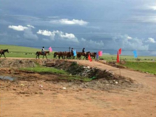 电影在线观看免费版