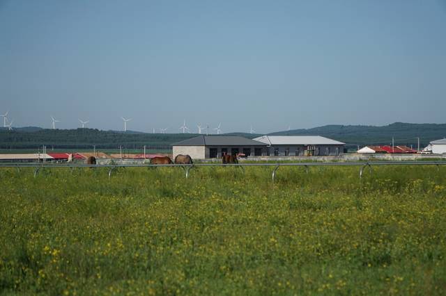 抖音风绿帽小视频混剪 特效的抖音高级应用与教程