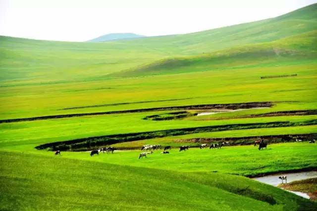 3d同人动漫视频51