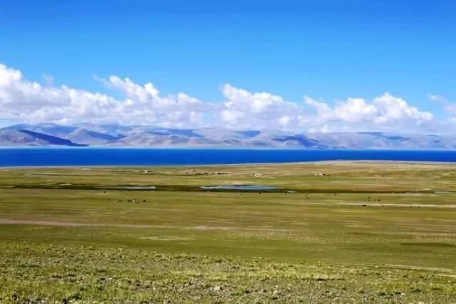 SAO虎在线精品永久观看入口 并随时随地重温经典剧情