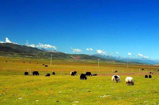 SAO虎在线精品永久观看入口 并随时随地重温经典剧情