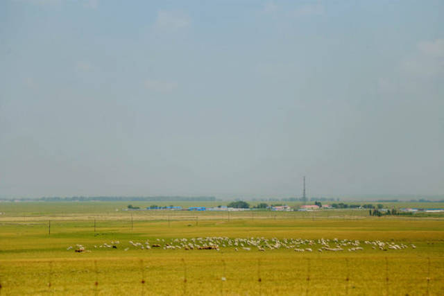 小马拉车 av.cc 我还没有学会回答这个问题