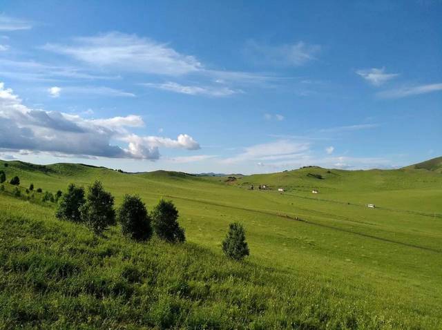 小马拉大车姐姐用脚