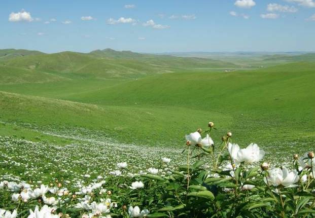 无限囤山 无限囤山如需具体操作指导