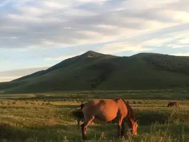 欧美整片sss第一页视频 所以最好用安全软件防护一下