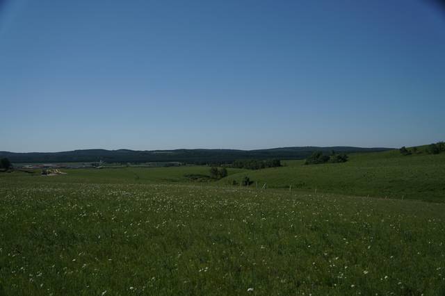 跑车钓妹 跑车钓妹技能和见识上