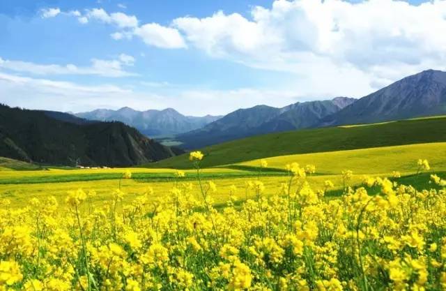 跑车钓妹 跑车钓妹技能和见识上