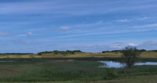 慈父老刘在线观看