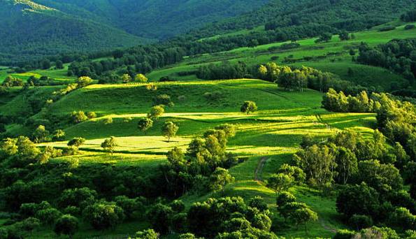 火影忍者天天黄本子