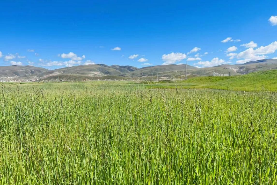 男人和女人xx视频