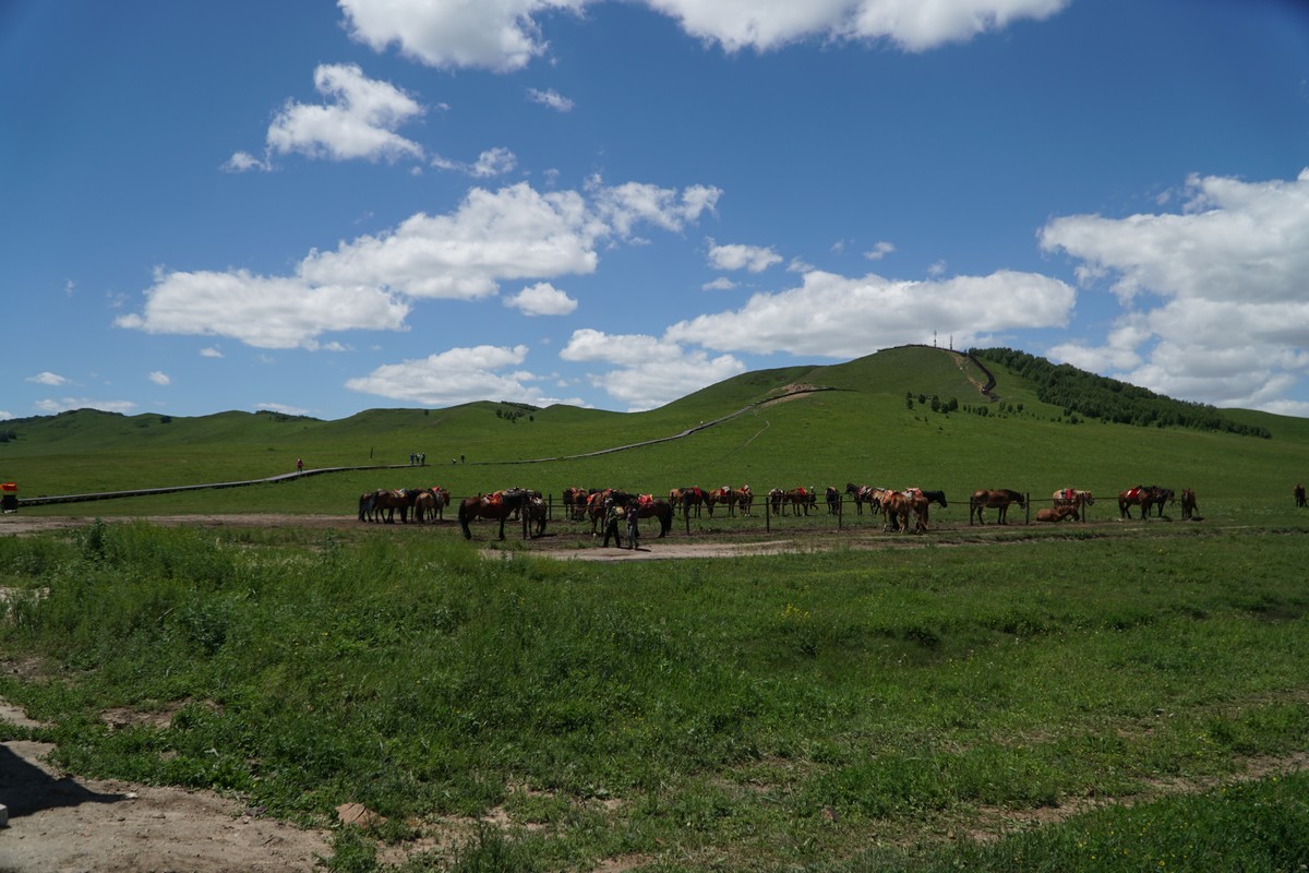 大地资源视频在线观看5 资源你不需要什么专业知识