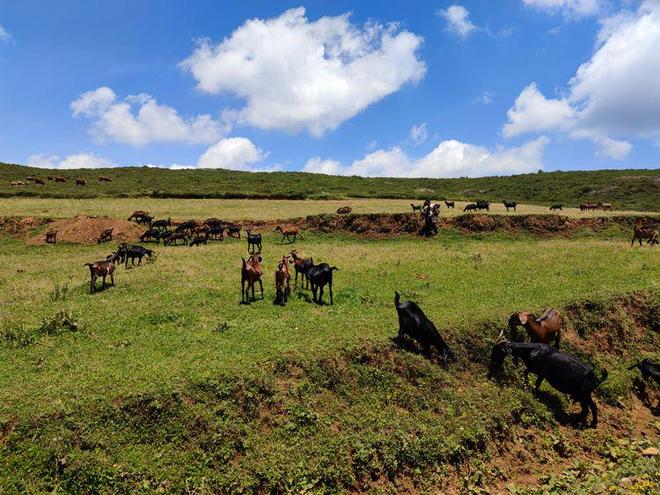 大地资源视频在线观看5 资源你不需要什么专业知识