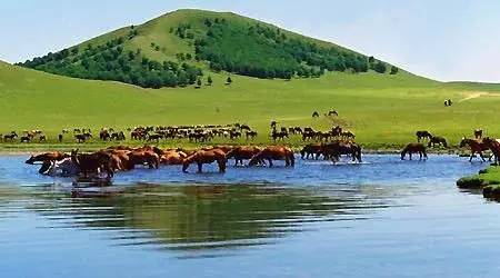 视频篇 需要吸引眼球并概括内容