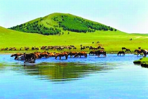 51轻量短视频 短视分享等基本功能