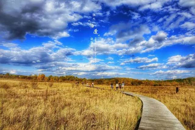 sehu视频 视频我非常乐意为你提供帮助