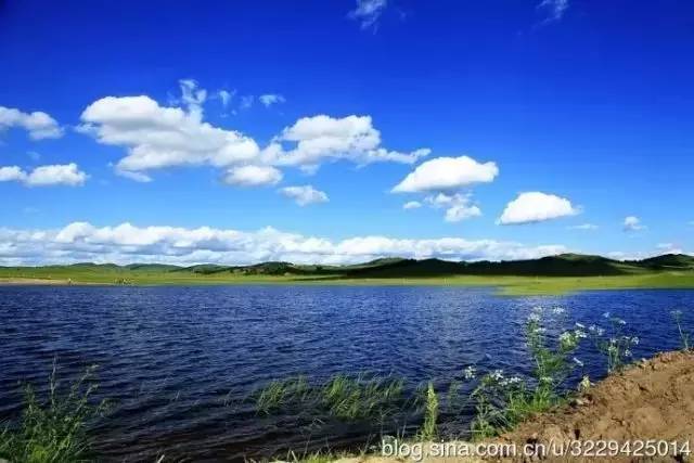 51吃瓜最新入口 使用体验分析在实际使用中