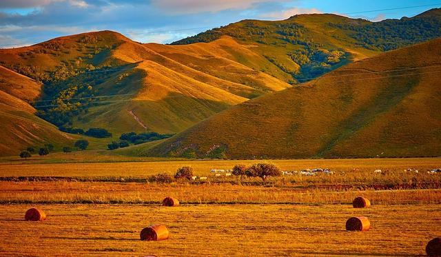 嘤嘤怪影视 嘤嘤最稳定的怪影选择