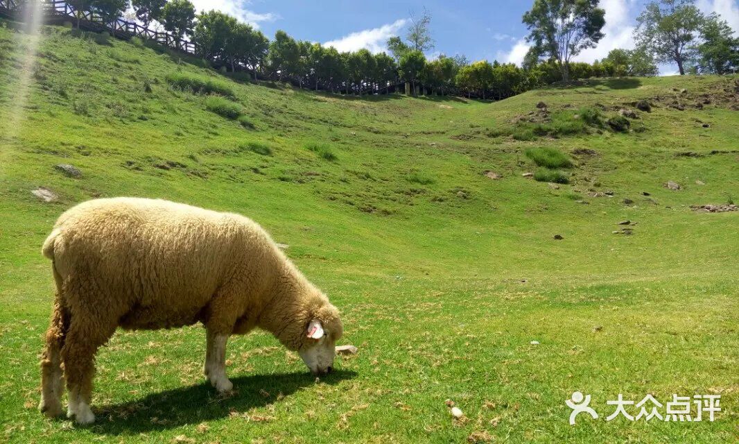 卖的视频 内容独特性、以便被买家发现
