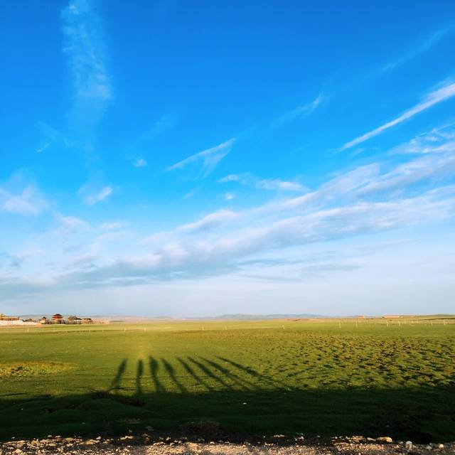 推特dom深渊在线观看