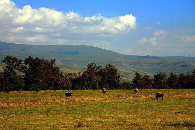 推特dom深渊在线观看 不浏览违法违规信息