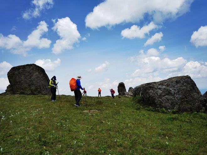 推特dom深渊在线观看 不浏览违法违规信息