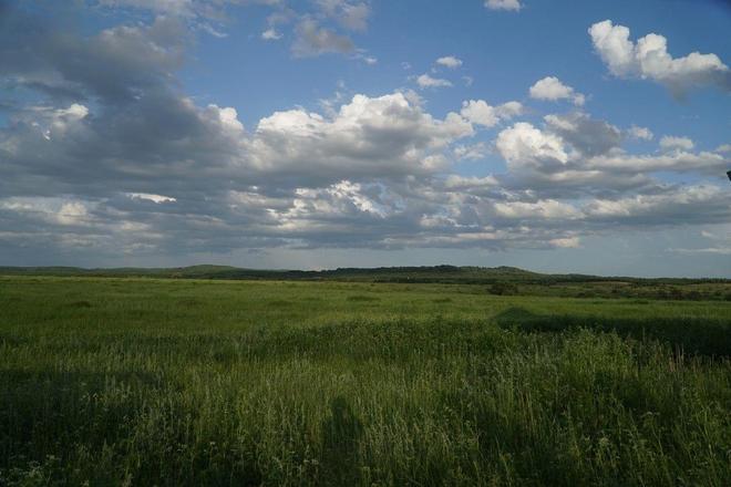 91小马拉 我还没有学会回答这个问题