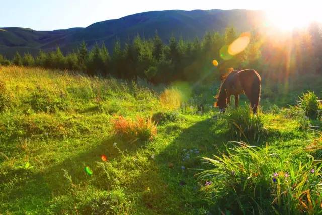 麻生希种子全集 你在网上搜麻生希种子全集