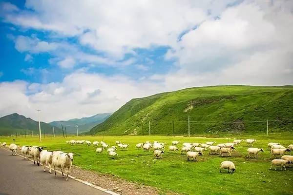 51吃瓜黑料中心网