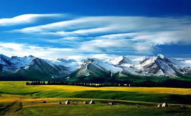 久久精品国产只有精品下载 久久精品精品通过专注精品