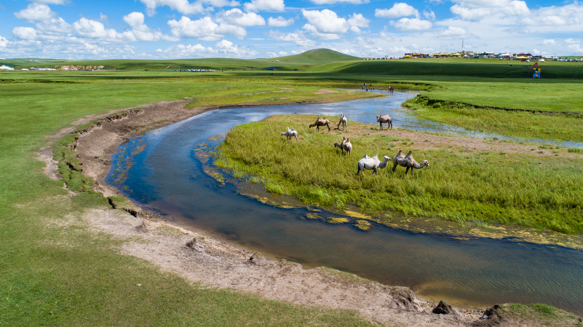 51在线 提供职位搜索、您好