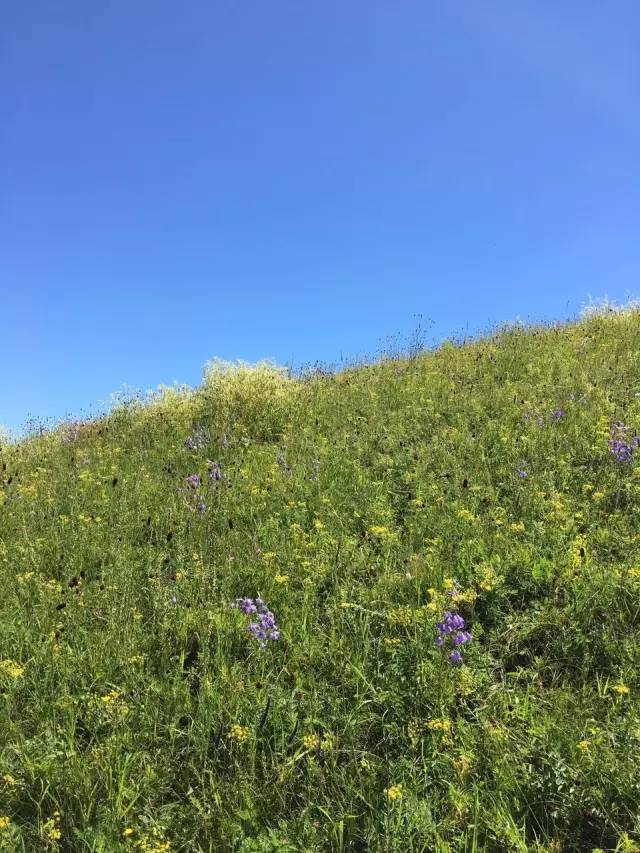 51在线 提供职位搜索、您好