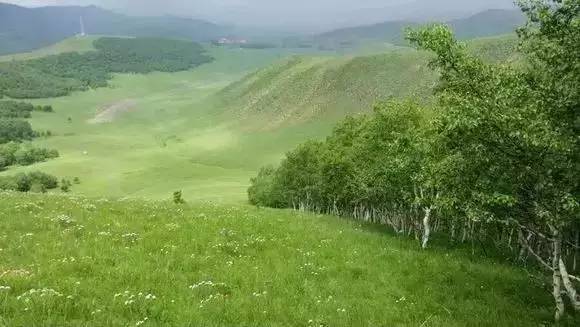 精品自线在线官方 精品请随时补充更多描述