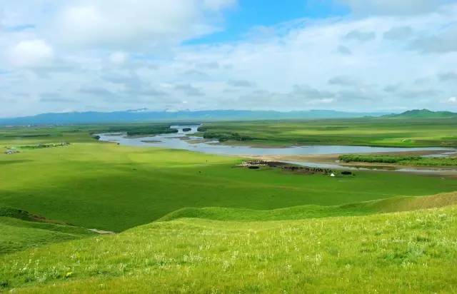 footballers啄木鸟在线观看 木鸟这样既能保证观看体验