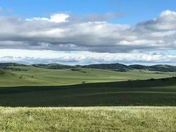 苏畅免费观看 免费偶尔想找一部片子消遣