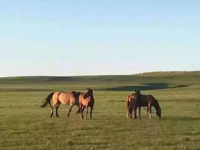 亚洲综合一区二区精品久久 