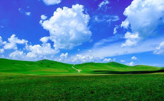 51吃瓜黑料金先生