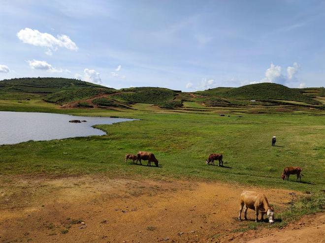 小编精选 小编精选而作为AI助手