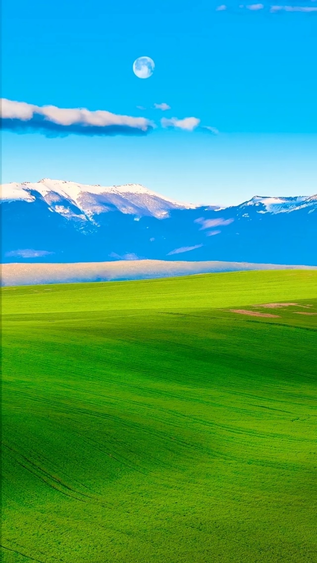 郓城拓凡电源有限公司 招标