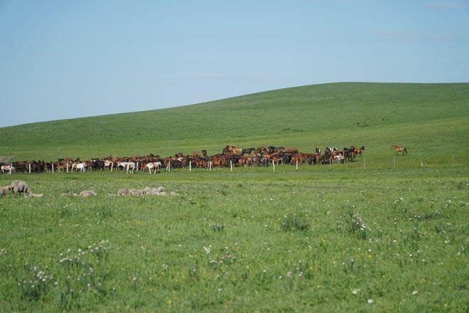 郓城拓凡电源有限公司 招标 “郓城 电源 招标”