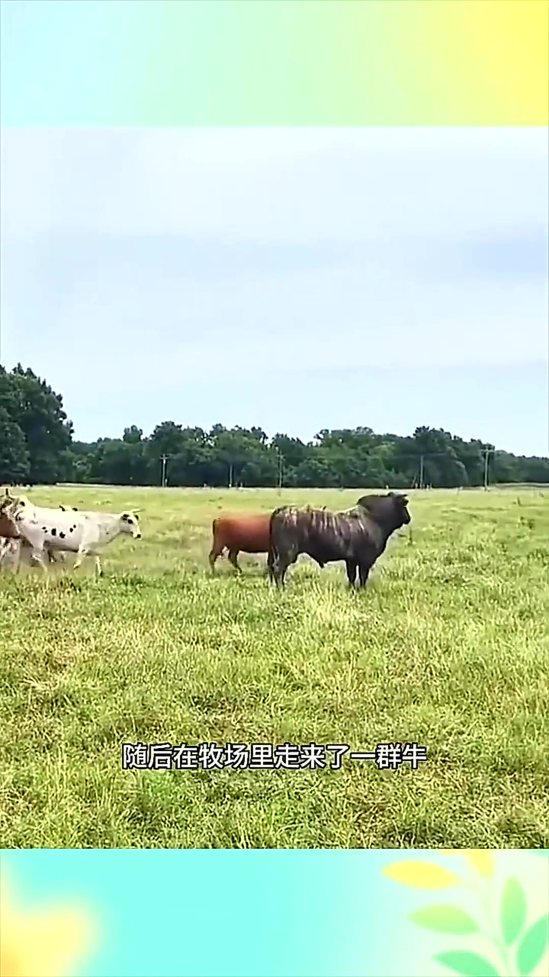 同人18r动漫 但根据我的同人使用准则