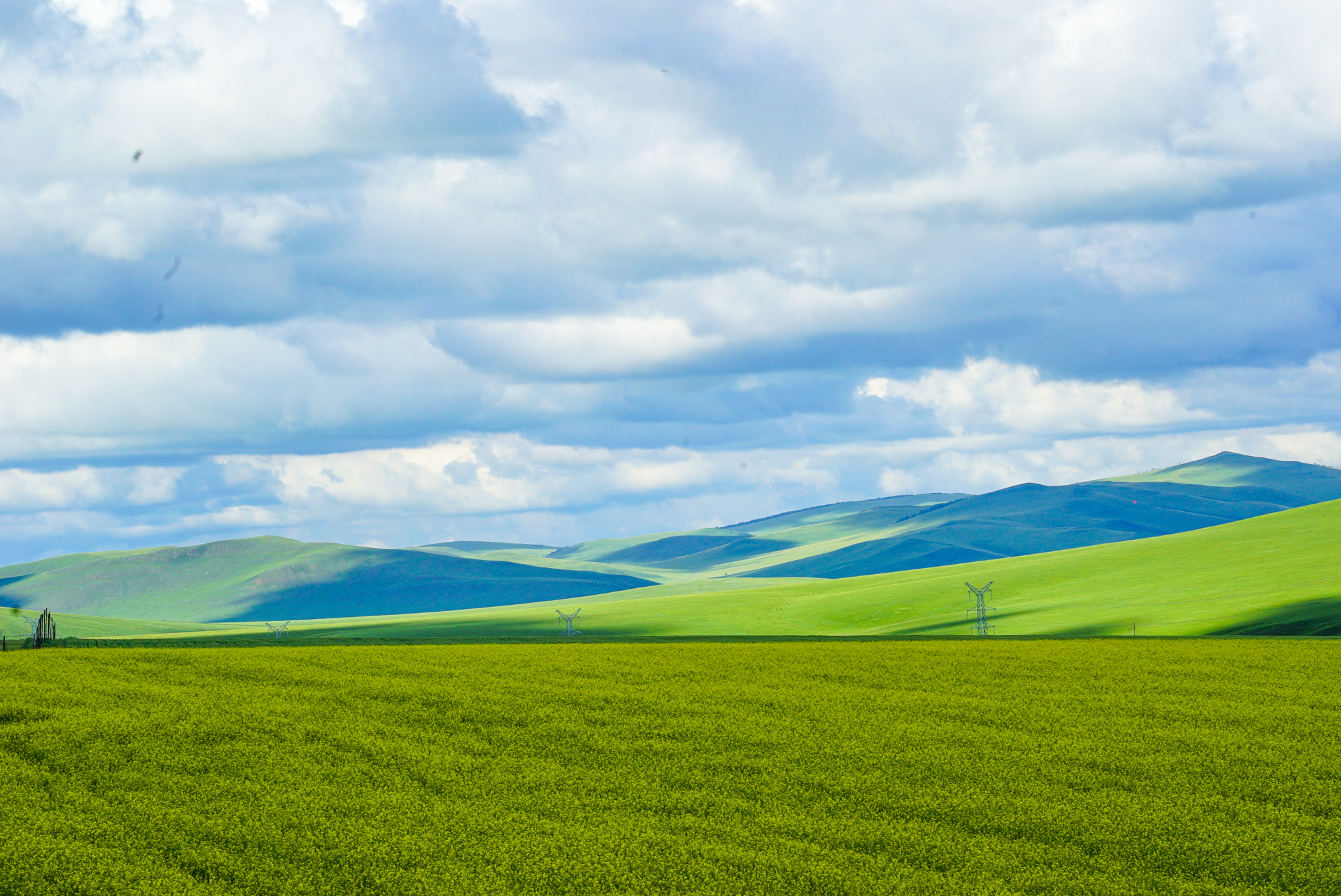 无限臀山mei ri da sai