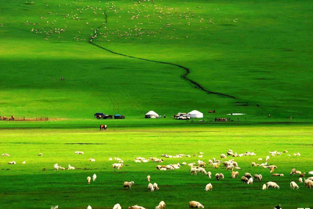 欧美在线精品一区二区三区 区区分享自己的欧美观后感