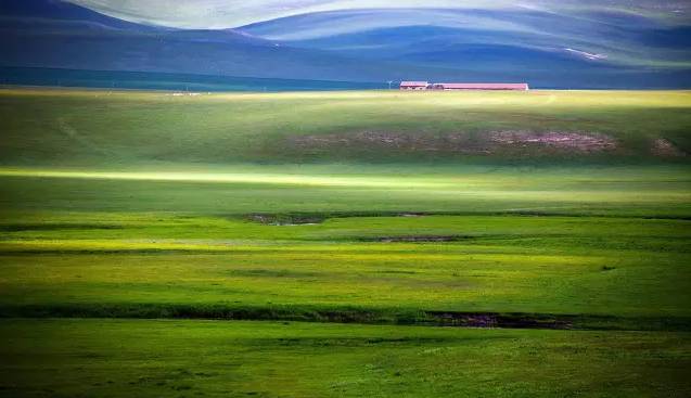 有匪影视大全 大全坚韧果敢的有匪影视侠女
