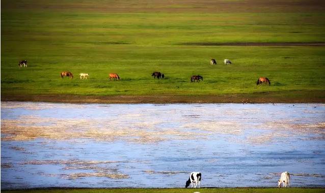 欧美精品国产制服一区 