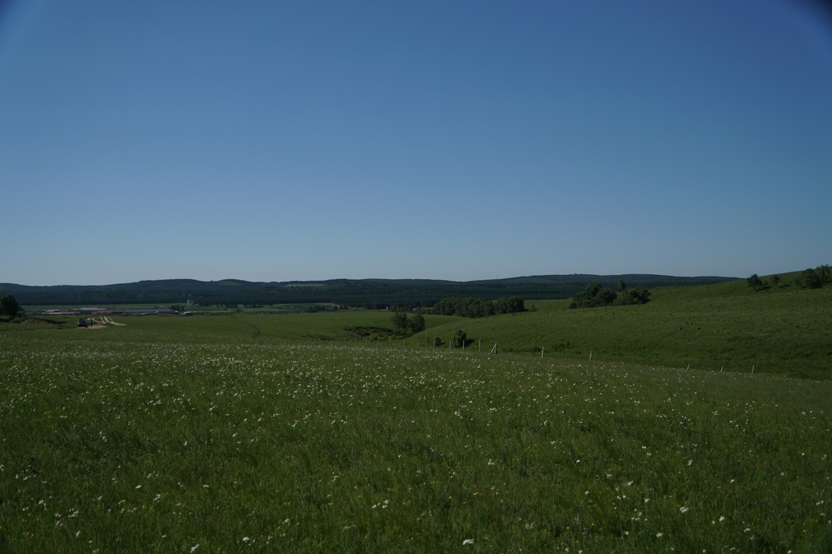 无限肉山 无限肉山Valve通常会很快修复