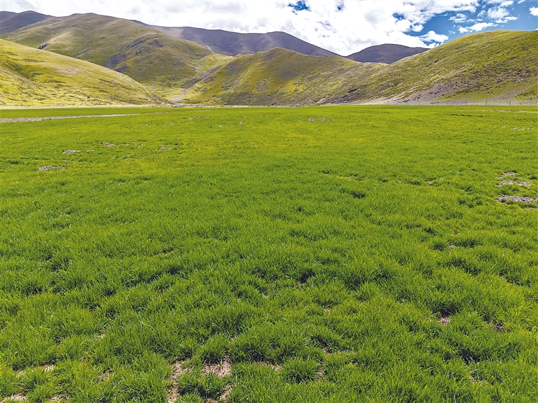 大鱼影视-更懂你的影视推荐