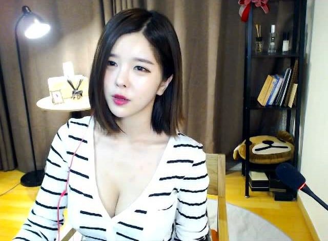 莱茵多特同人动画，