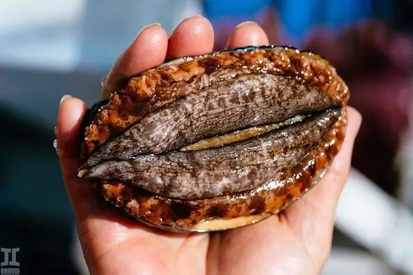 movo视频 视频先婚后爱、视频分享