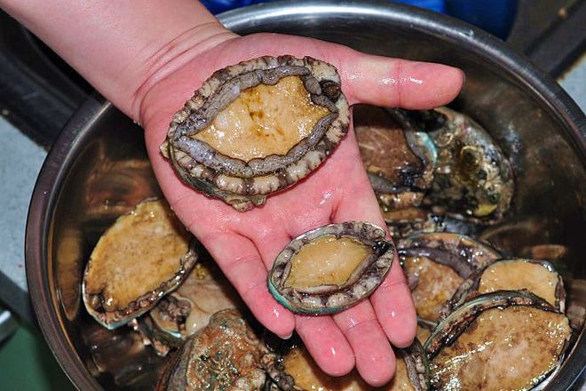 橘玛丽视频 我还没有学会回答这个问题